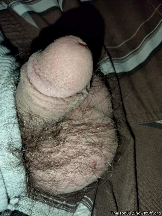 Adult image from Tnelson88