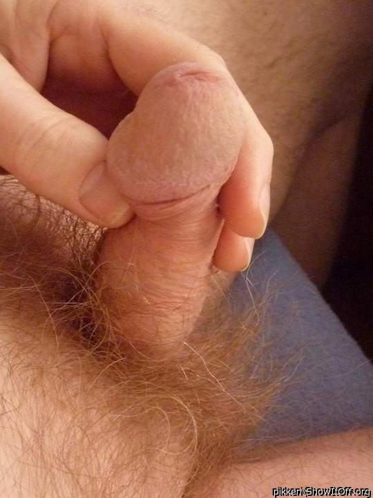 Adult image from pikken