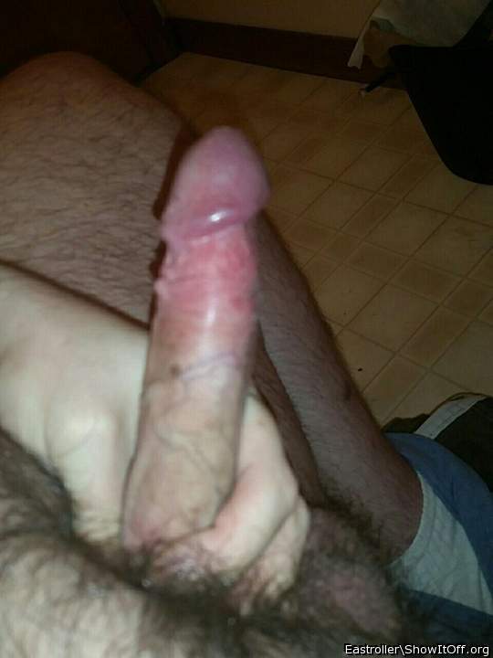 Adult image from *Humpy_Rugmuncher