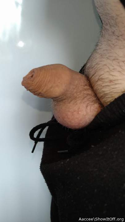 Adult image from Aaccee