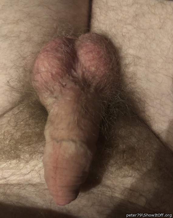 Adult image from peter79