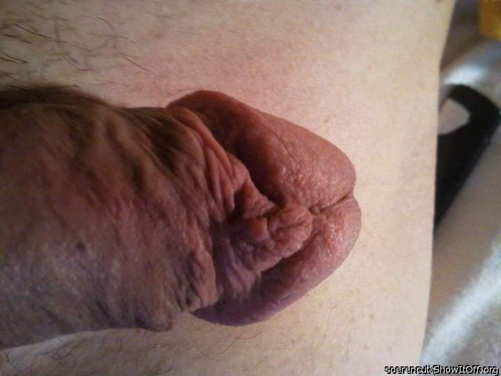 Adult image from Soerencut
