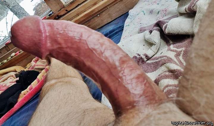 Hot huge cock and balls