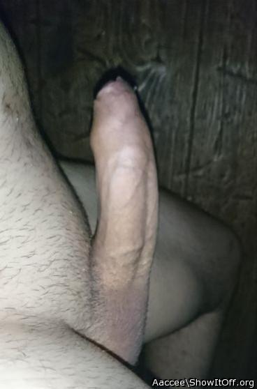 Adult image from Aaccee