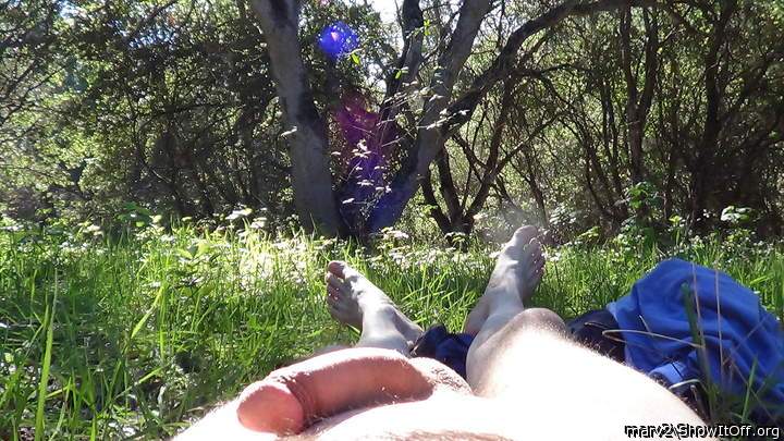 Relaxing naked in the woods