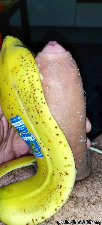 Adult image from pisello