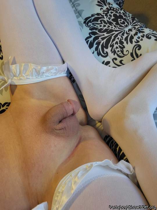 Adult image from Pantyboy