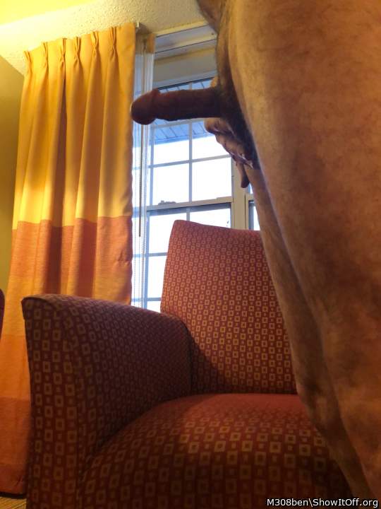 Adult image from M308ben