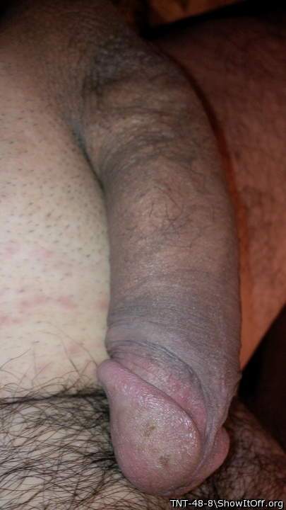 Adult image from TNT-48-8