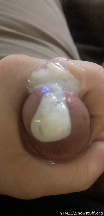 Adult image from GFMZ1