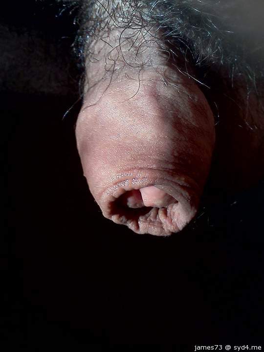 Adult image from james73