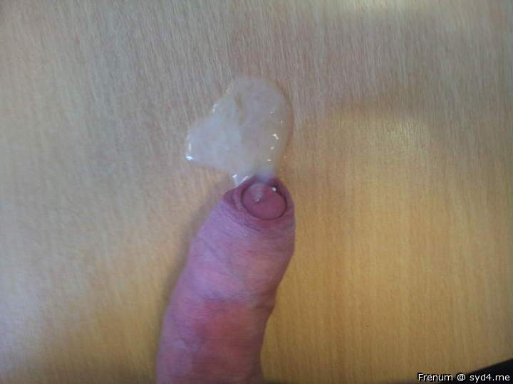Adult image from Frenum