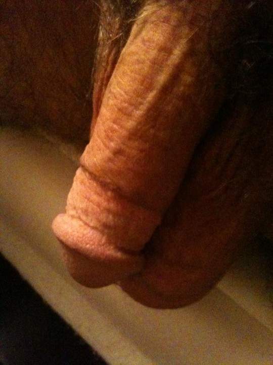 Adult image from bdguy
