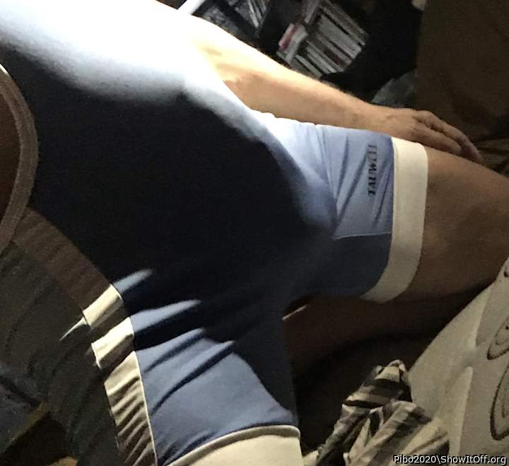 Adult image from Pibo2020