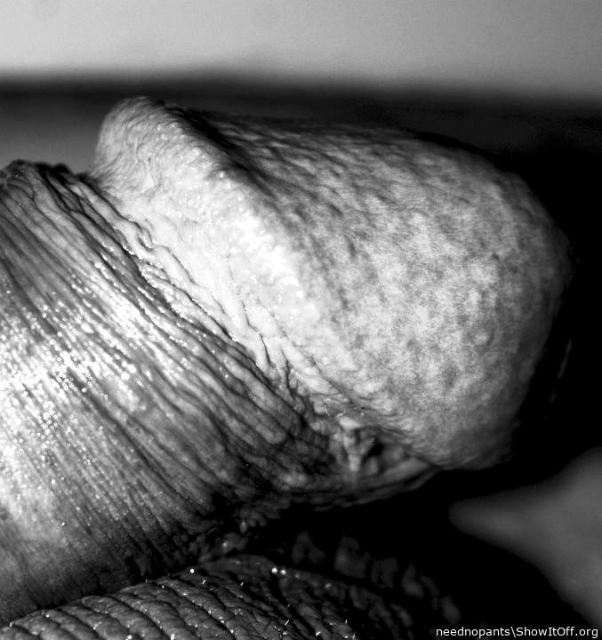 Adult image from neednopants