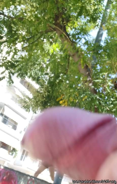 Flashing big dick to the girls!