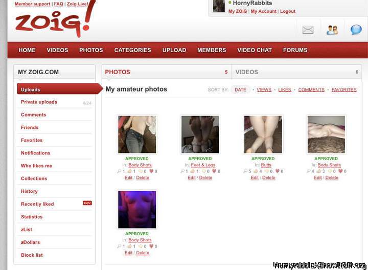 Follow us on zoig