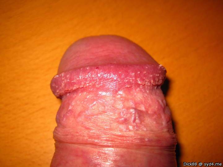 Adult image from Dick88