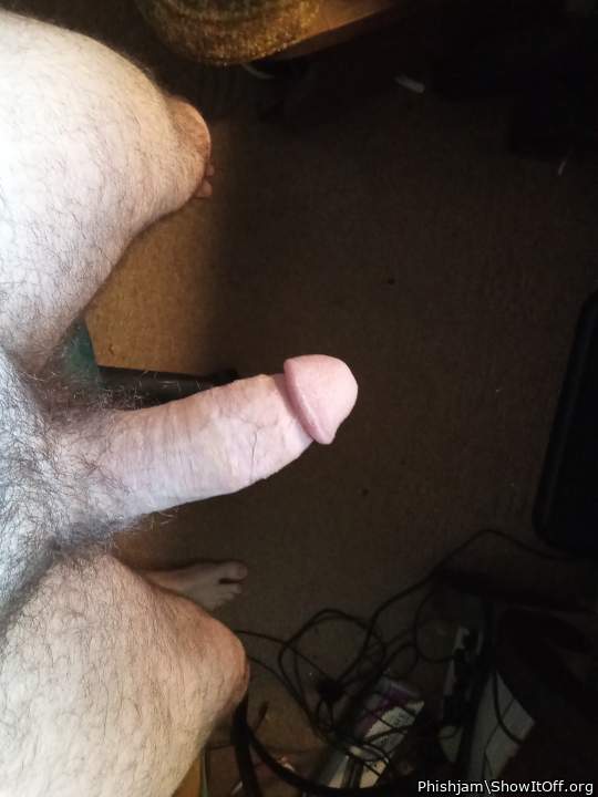 Adult image from Phishjam