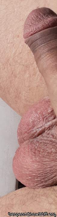 Adult image from Denpenn