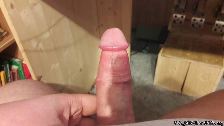 Adult image from MW_666