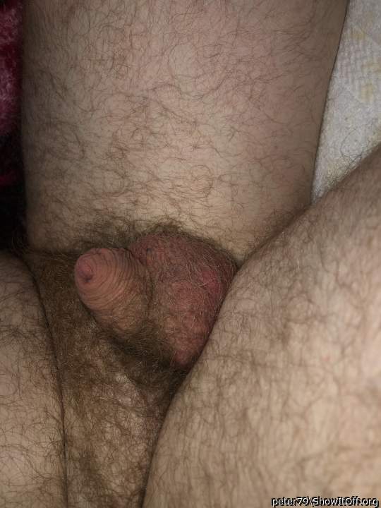 Adult image from peter79