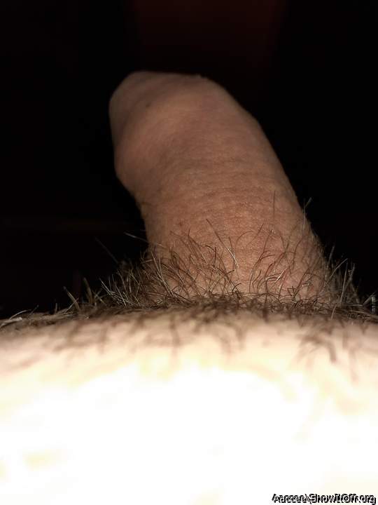 Adult image from Aaccee