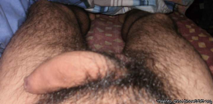 Adult image from chilenito_thno