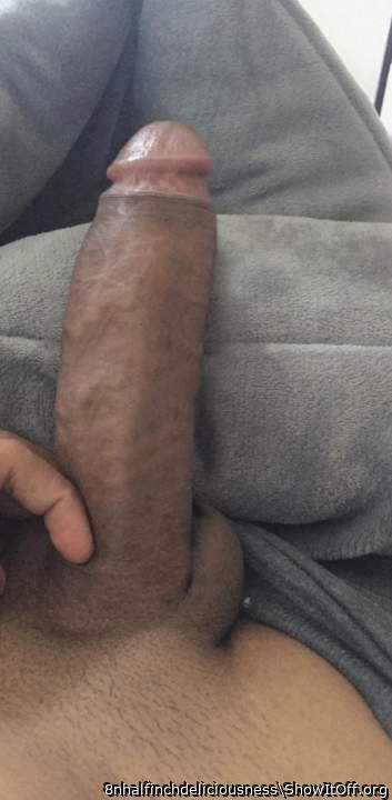 Adult image from 8nhalfinchdeliciousness