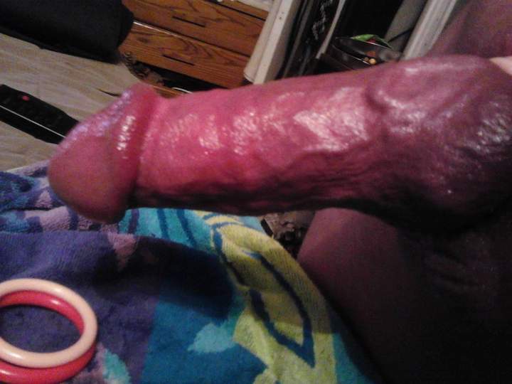 Adult image from fish4free