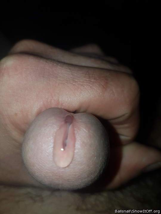 Adult image from ballsnall
