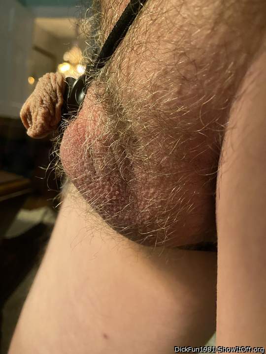 Adult image from DickFun1981