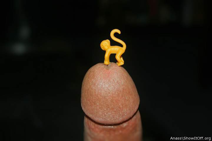 Adult image from Anass