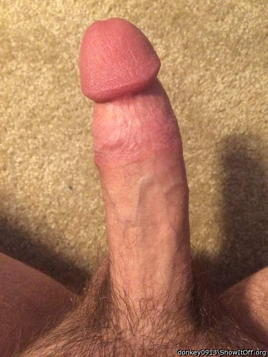 Adult image from Donkey0913
