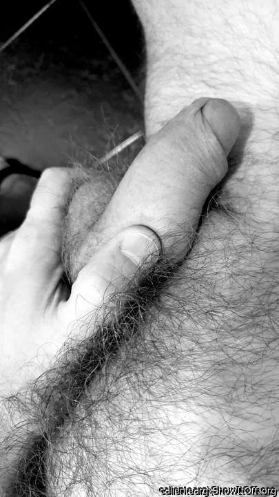 Adult image from calientearg