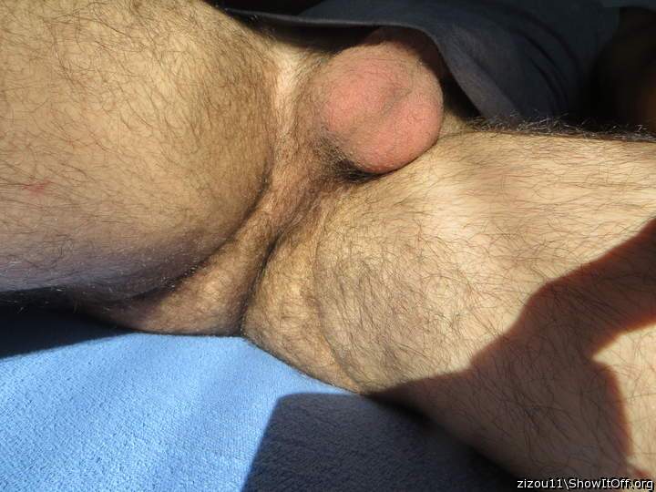 Adult image from zizou11