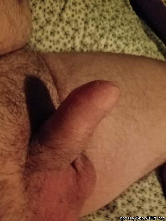 Adult image from Goosey