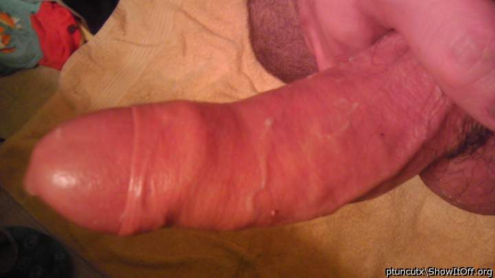 Adult image from ptuncutx