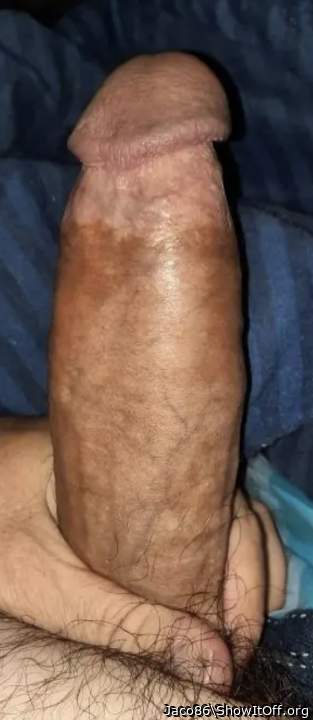 Adult image from Jaco86