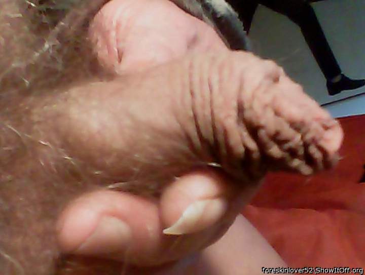 Adult image from foreskinlover52