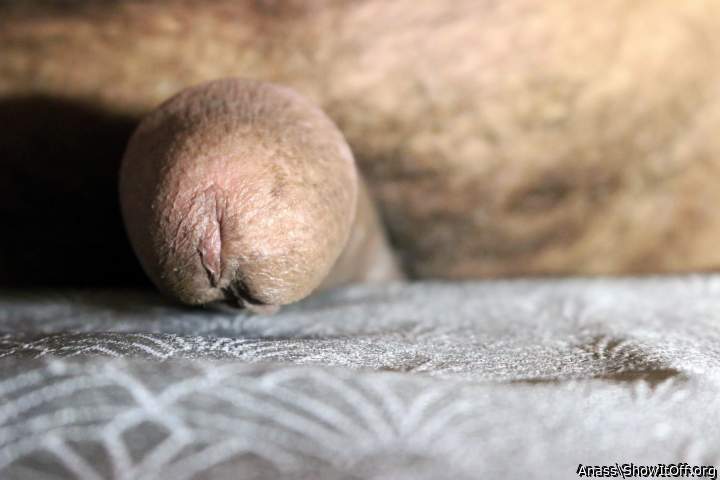 Adult image from Anass