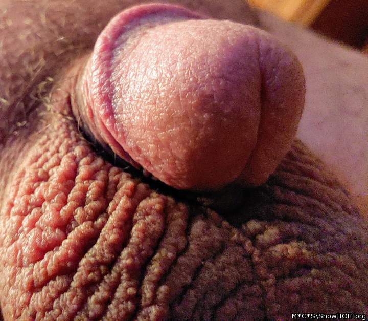 Adult image from M*C*S