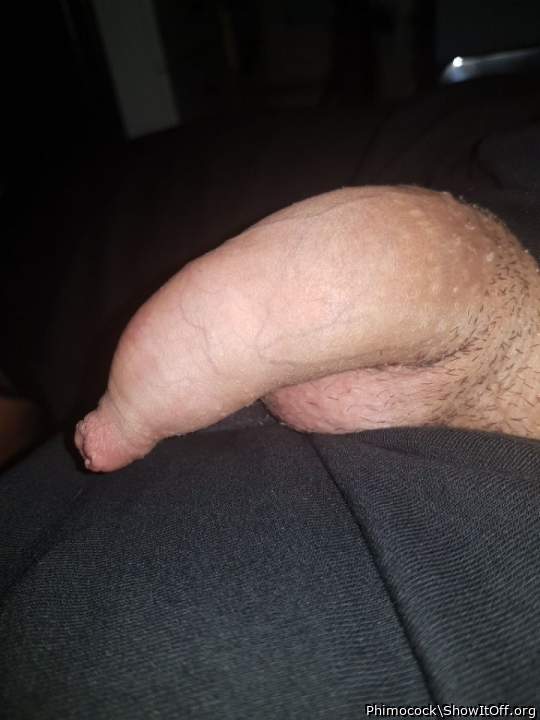 Adult image from Phimocock