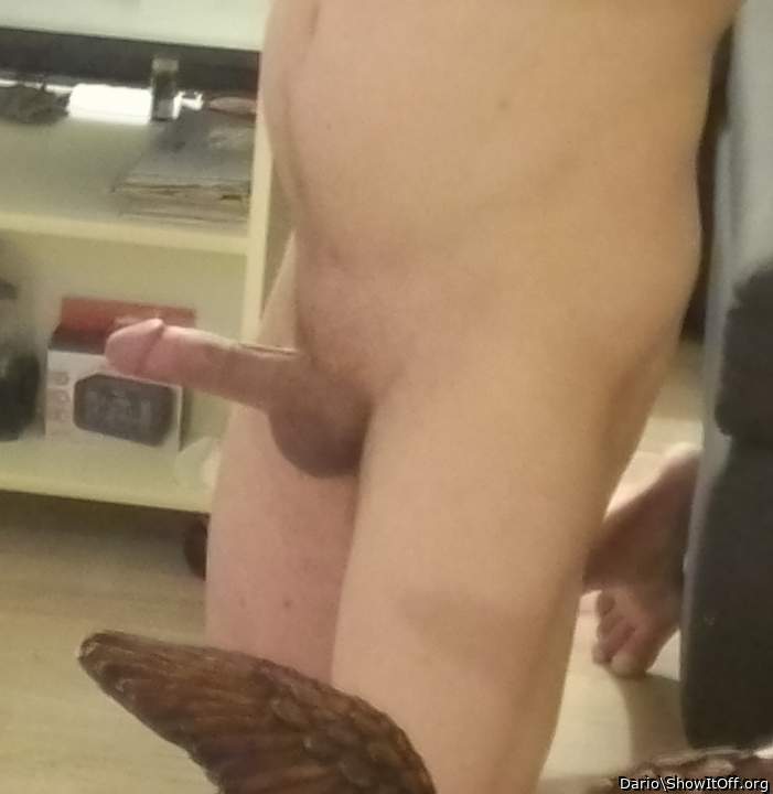 Adult image from Dario