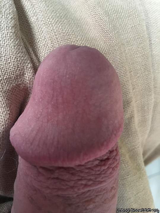 Adult image from mtingi