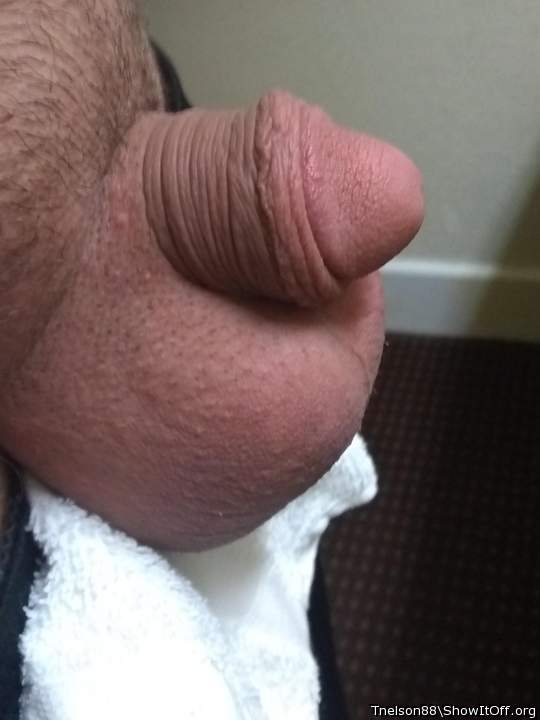 Adult image from Tnelson88