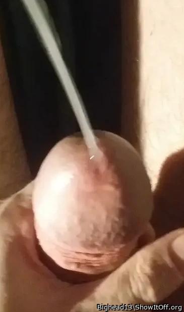 Adult image from Bighead13