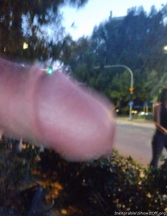 My naughty public knob!