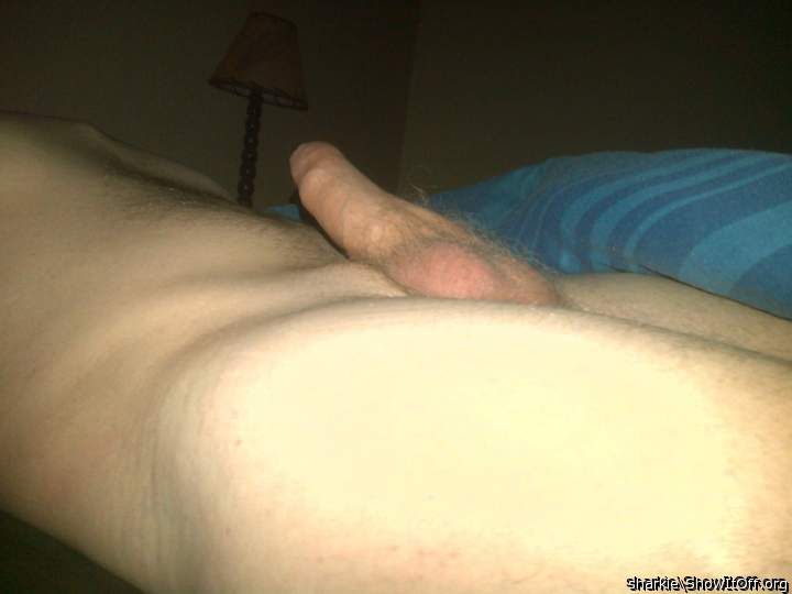 Adult image from Sharkie