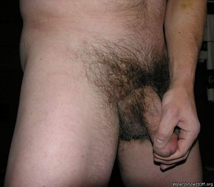 Adult image from Wiper